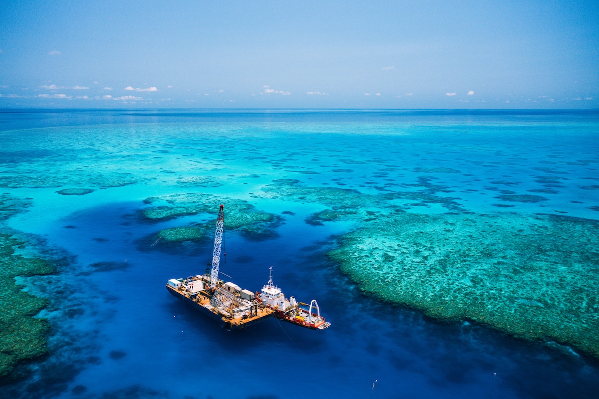 Coral Jason de Caines